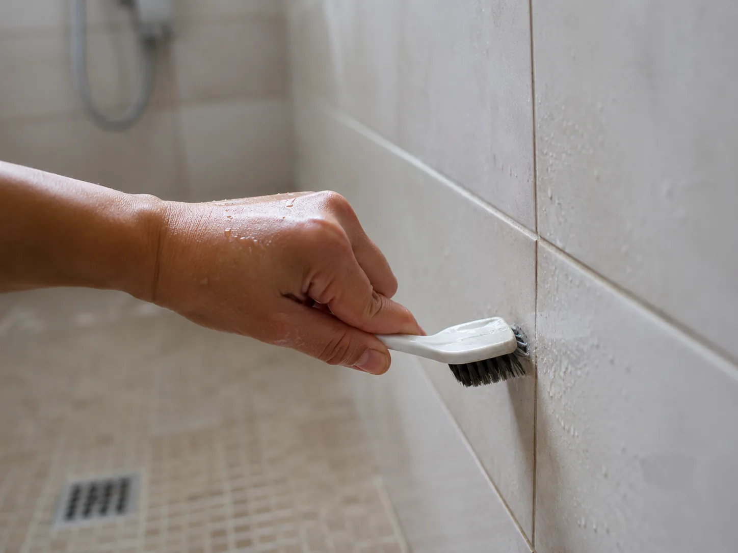 How to Prevent Mold and Mildew in Your Bathroom